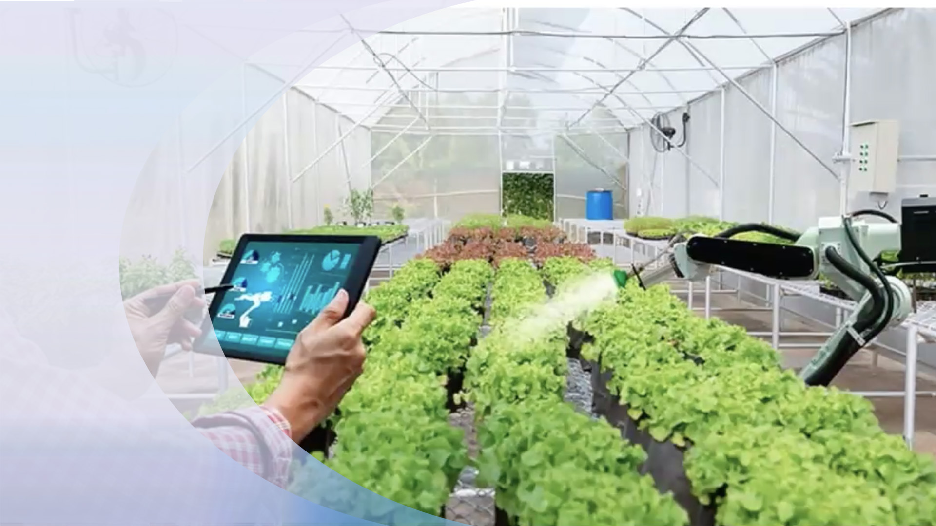 Smart Farm SDG innovation theme